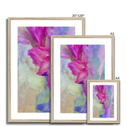 Gladiolas A1 Framed & Mounted Print