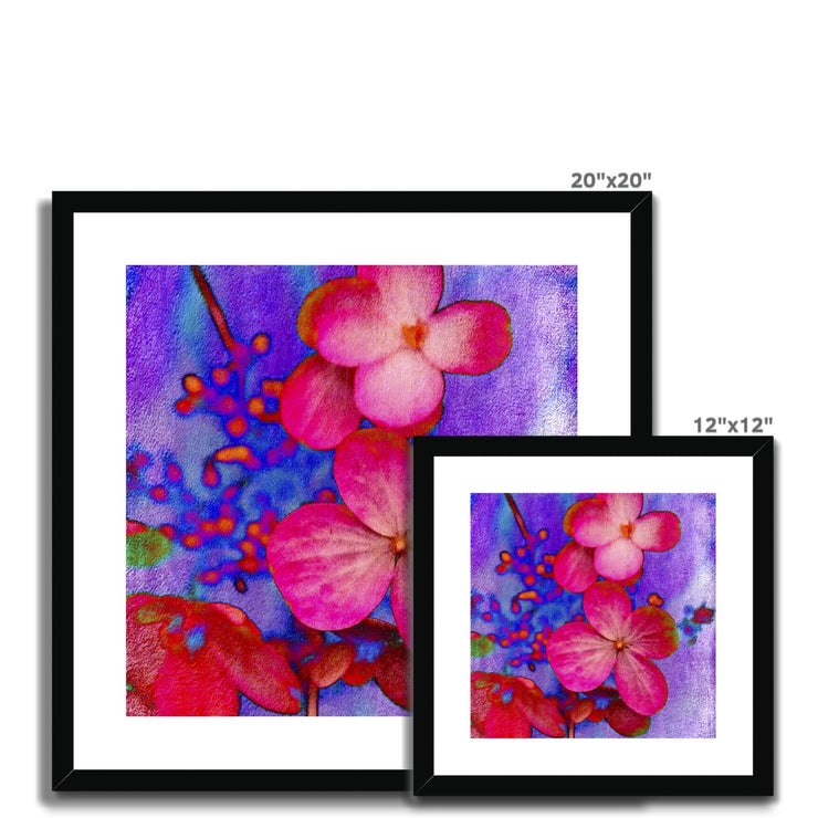 Hydrangea B1 Framed & Mounted Print