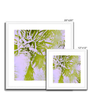 Palm Tree B2 Framed & Mounted Print