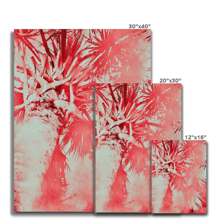 Palm Tree B6 Canvas