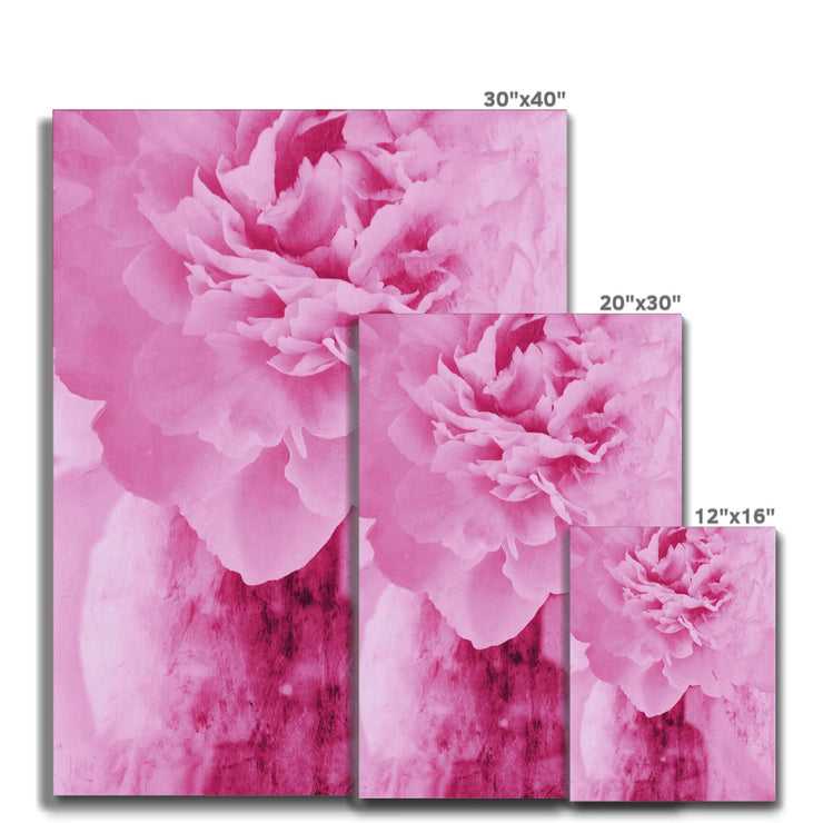 Peony G6 Canvas