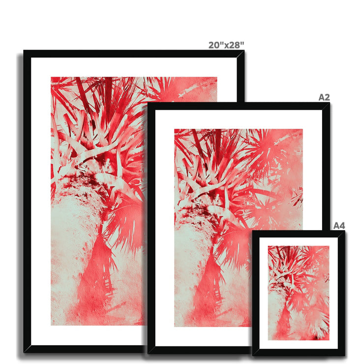 Palm Tree B6 Framed & Mounted Print