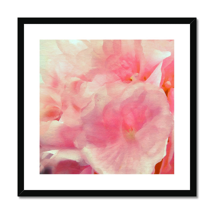 Hydrangea C1 Framed & Mounted Print