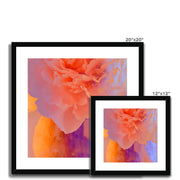 Peony G1 Framed & Mounted Print