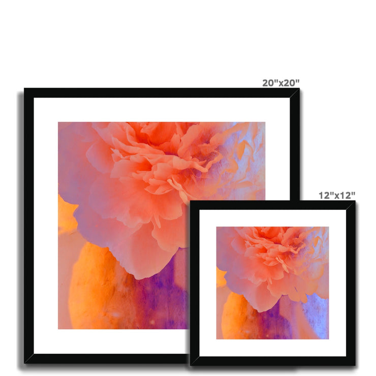 Peony G1 Framed & Mounted Print