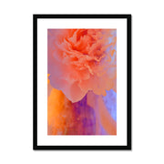 Peony G1 Framed & Mounted Print