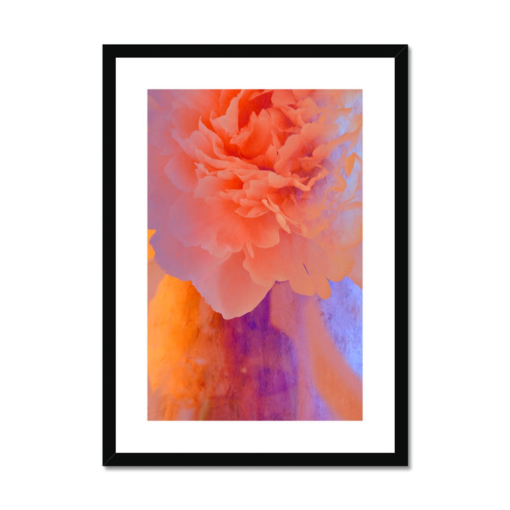 Peony G1 Framed & Mounted Print