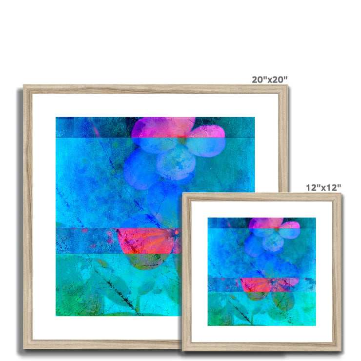 Hydrangea D5 Framed & Mounted Print