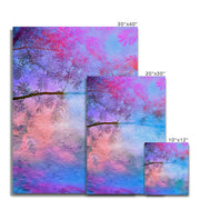 Albizia Tree B1 Canvas