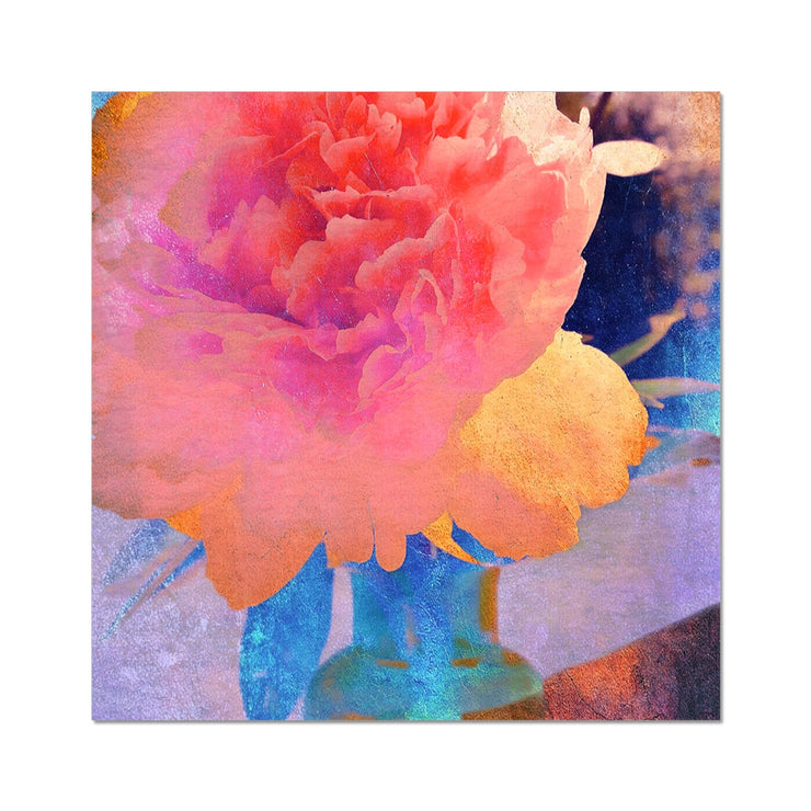 Peony F1 Hahnemühle Photo Rag Print