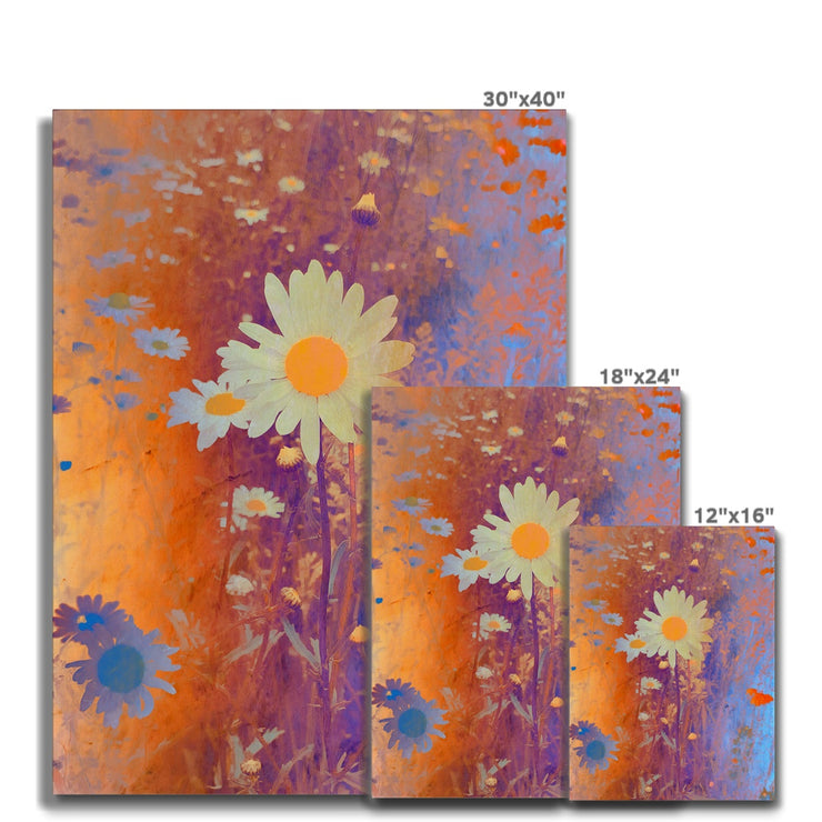 Summer Meadow A1 Canvas