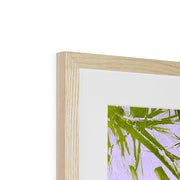 Palm Tree B2 Framed & Mounted Print