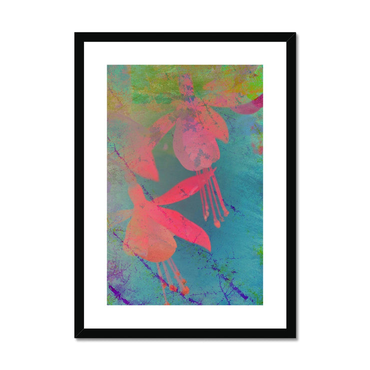 Fuchsias B1 Framed & Mounted Print