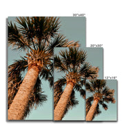 Palm Tree E1 Canvas