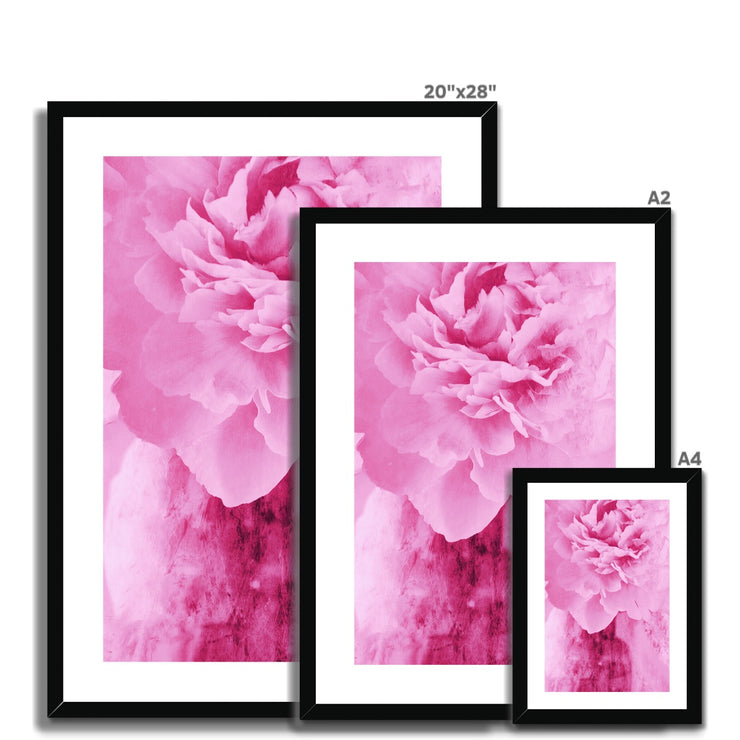 Peony G6 Framed & Mounted Print