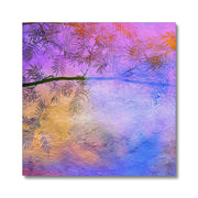 Albizia Tree B2 Canvas