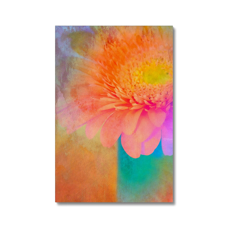 Gerbera B2 Canvas