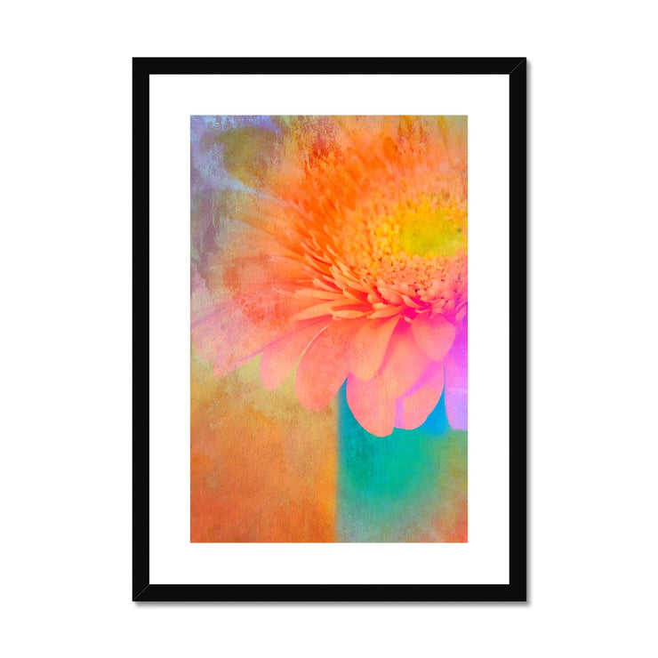 Gerbera B2 Framed & Mounted Print