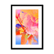 Peony A2 Framed & Mounted Print