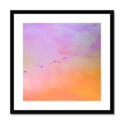 Pelicans in Flight A2 Framed & Mounted Print