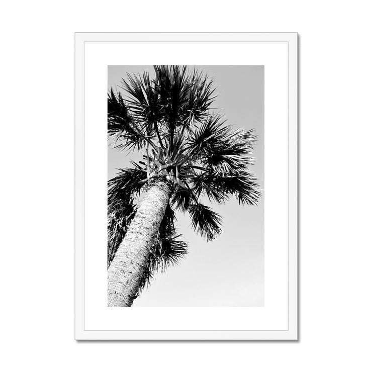 Palm Tree E2 Framed & Mounted Print