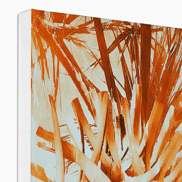 Palm Tree B1 Canvas