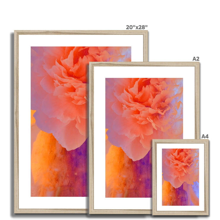 Peony G1 Framed & Mounted Print