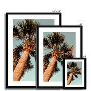 Palm Tree E1 Framed & Mounted Print