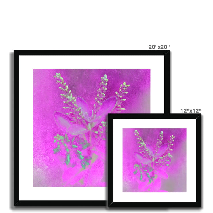 Lilac A2 Framed & Mounted Print