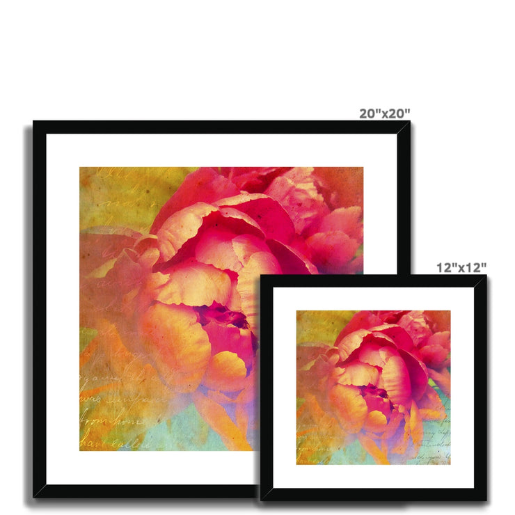 Peony E2 Framed & Mounted Print