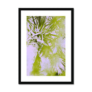 Palm Tree B2 Framed & Mounted Print