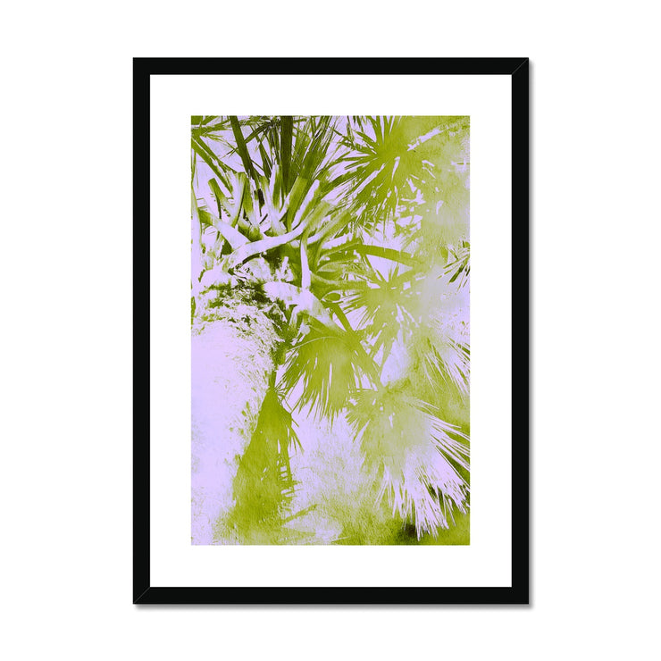 Palm Tree B2 Framed & Mounted Print