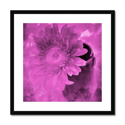 Gerbera A4 Framed & Mounted Print