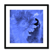 Gerbera A3 Framed & Mounted Print