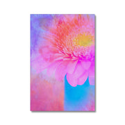 Gerbera B1 Canvas