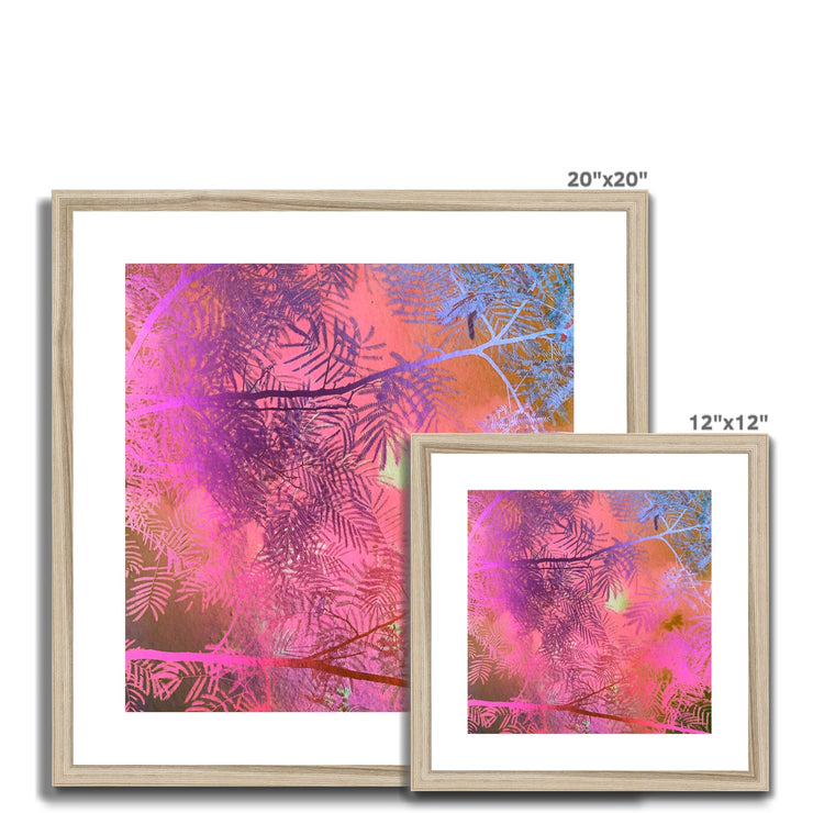 Albizia Tree A5 Framed & Mounted Print