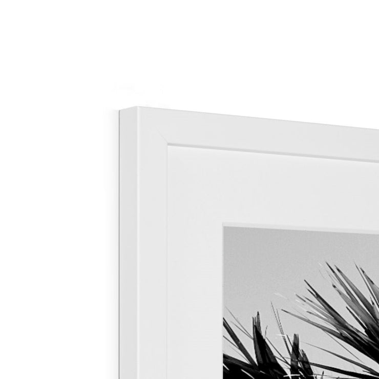 Palm Tree E2 Framed & Mounted Print