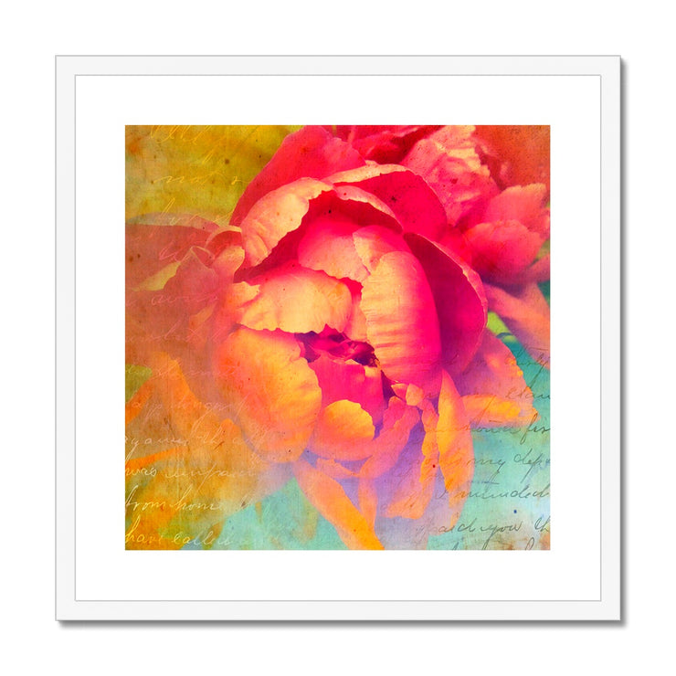 Peony E2 Framed & Mounted Print