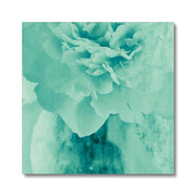 Peony G5 Canvas