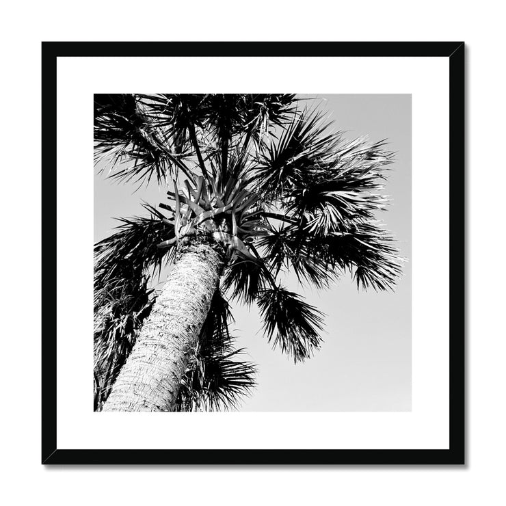 Palm Tree E2 Framed & Mounted Print