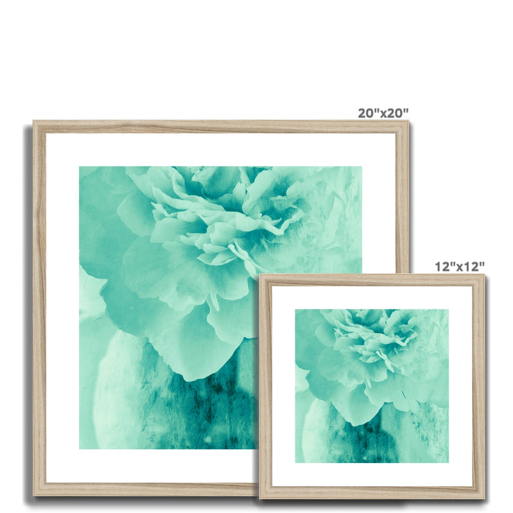 Peony G5 Framed & Mounted Print