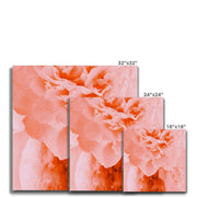 Peony G3 Canvas