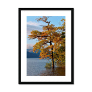 Loch Lomond B1 Framed & Mounted Print