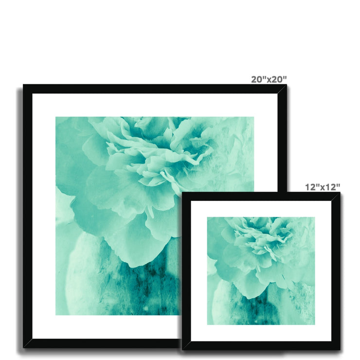 Peony G5 Framed & Mounted Print