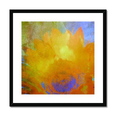 Sunflower A3 Framed & Mounted Print