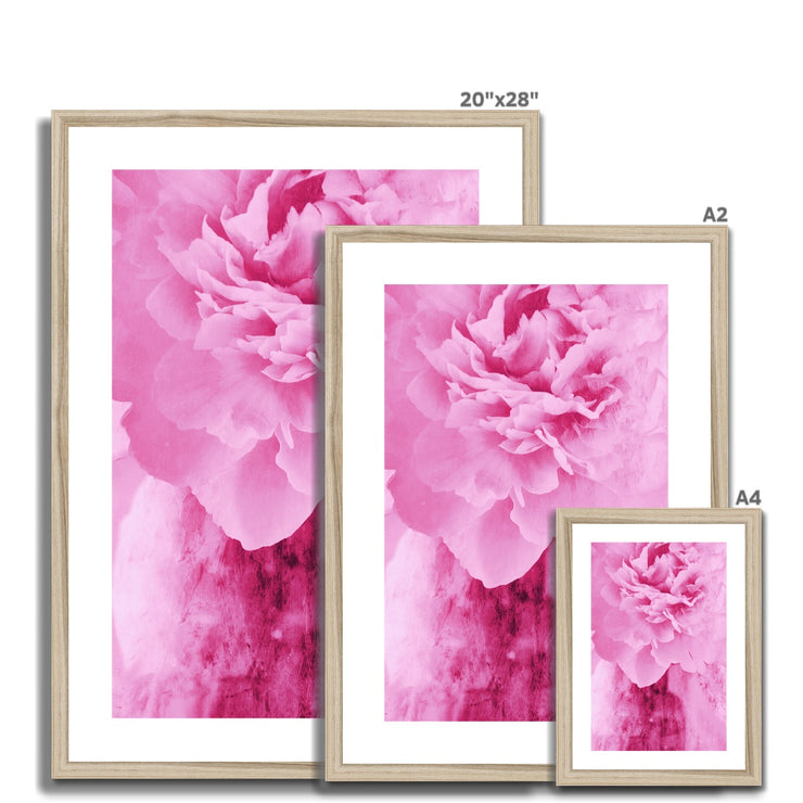 Peony G6 Framed & Mounted Print