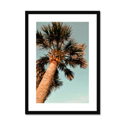 Palm Tree E1 Framed & Mounted Print