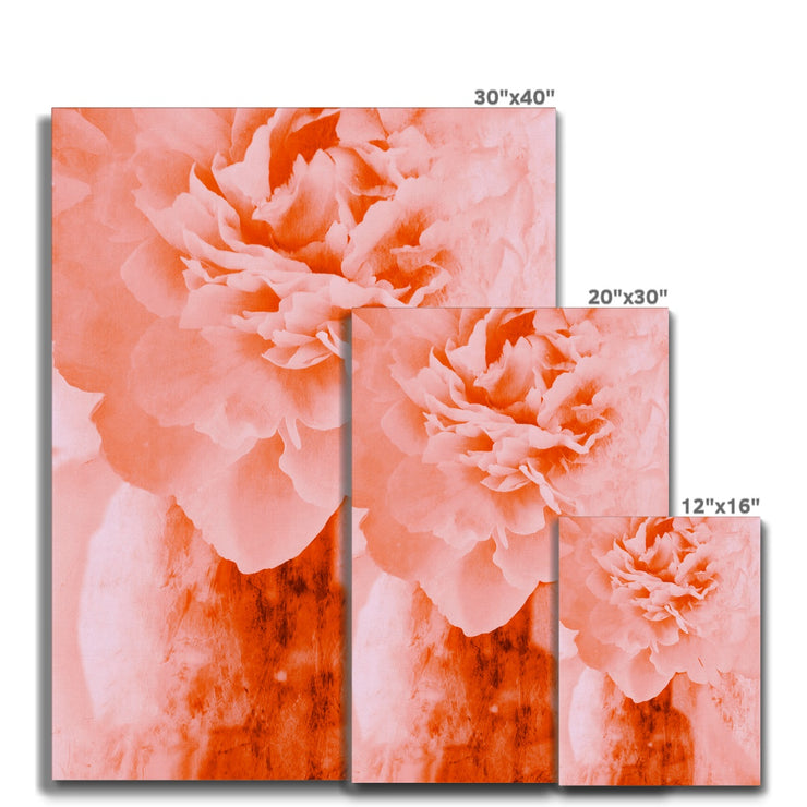 Peony G3 Canvas