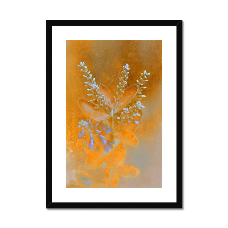 Lilac A1 Framed & Mounted Print