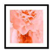 Peony G3 Framed & Mounted Print